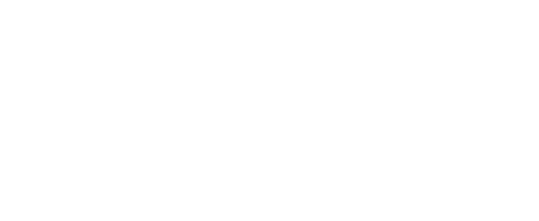 Logo fondation Aldinie blanc